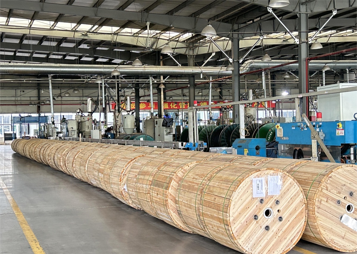Export packing preparation